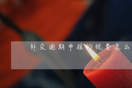 补交逾期申报的税费怎么做 补交逾期申报的税费怎么做