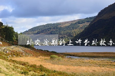 补交逾期的上诉费补救办法 补交逾期的上诉费补救办法
