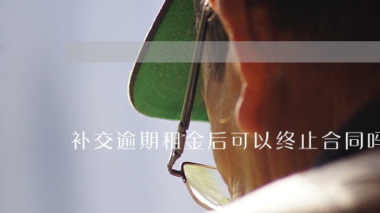 补交逾期租金后可以终止合同吗 补交逾期租金后可以终止合同吗
