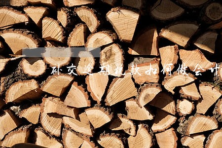 补交逾期税款如何做会计分录 补交逾期税款如何做会计分录