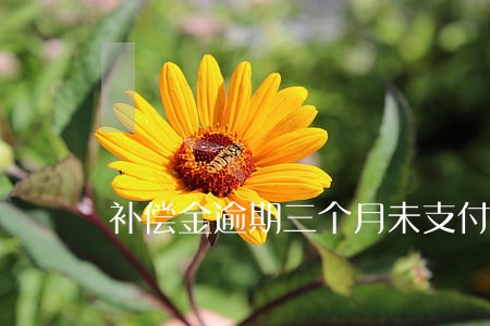 补偿金逾期三个月未支付