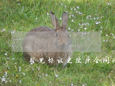 补充协议更改原合同条例 补充协议更改原合同条例