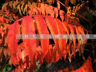 补充司法辅助人员保障员额 补充司法辅助人员保障员额