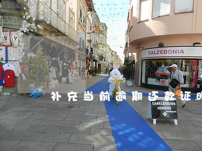 补充当前逾期还款证明资料 补充当前逾期还款证明资料