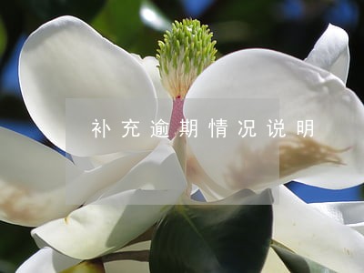 补充逾期情况说明 补充逾期情况说明