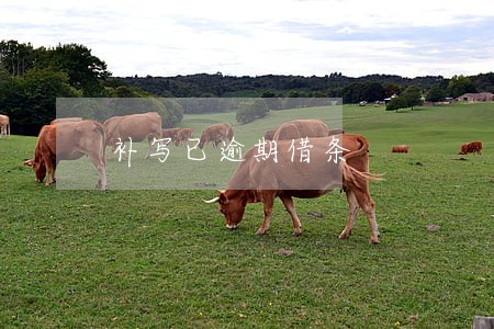 补写已逾期借条 补写已逾期借条