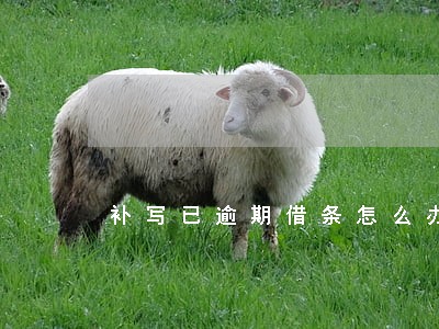 补写已逾期借条怎么办 补写已逾期借条怎么办