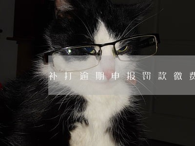 补打逾期申报罚款徼费单 补打逾期申报罚款徼费单