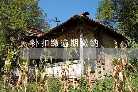 补扣缴逾期缴纳 补扣缴逾期缴纳