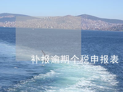 补报逾期个税申报表 补报逾期个税申报表