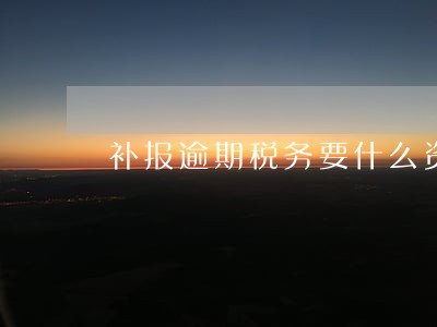 补报逾期税务要什么资料 补报逾期税务要什么资料