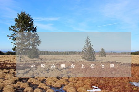 补税逾期会上征信吗 补税逾期会上征信吗