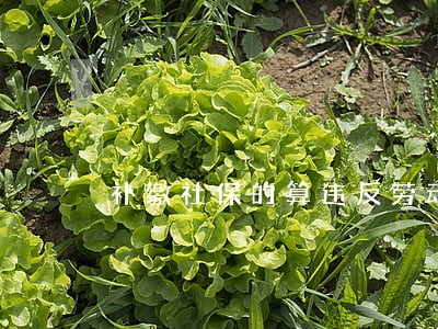 补缴社保的算违反劳动法 补缴社保的算违反劳动法
