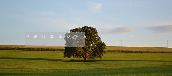 补缴税款逾期不履行 补缴税款逾期不履行