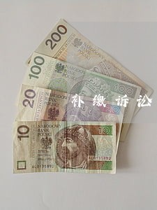 补缴诉讼费逾期没交可以补交么 补缴诉讼费逾期没交可以补交么