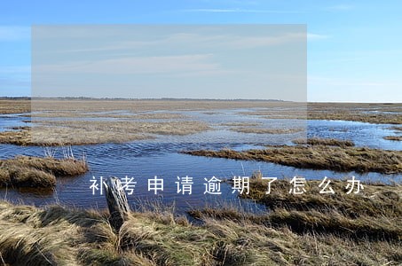 补考申请逾期了怎么办 补考申请逾期了怎么办