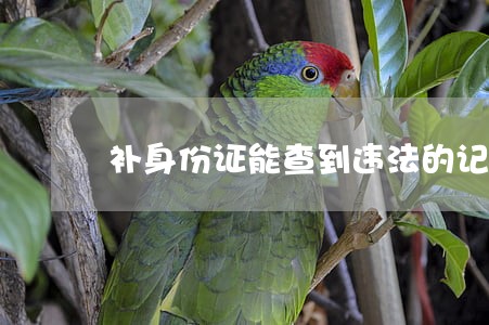 补身份证能查到违法的记录吗 补身份证能查到违法的记录吗