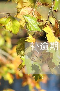 补逾期申报怎么处理 补逾期申报怎么处理