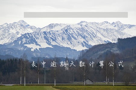表中逾期天数计算公式 表中逾期天数计算公式