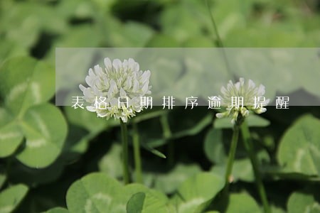 表格日期排序逾期提醒 表格日期排序逾期提醒