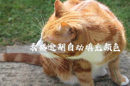 表格逾期自动填充颜色 表格逾期自动填充颜色