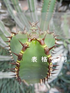 表格里时间逾期提醒怎么设置