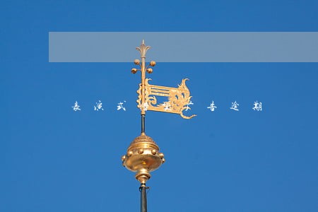 表演式借贷广告逾期
