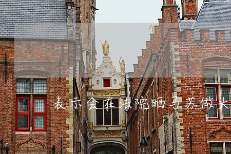 表示会在法院晒马苏做头发证据 表示会在法院晒马苏做头发证据