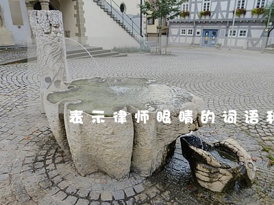 表示律师眼睛的词语和句子 表示律师眼睛的词语和句子