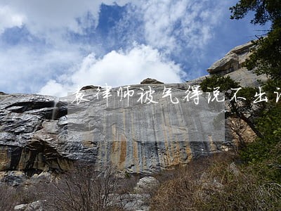 袁律师被气得说不出话 袁律师被气得说不出话