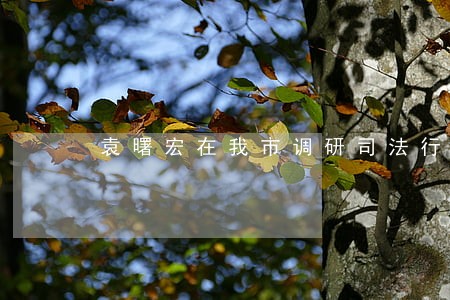 袁曙宏在我市调研司法行政工作
