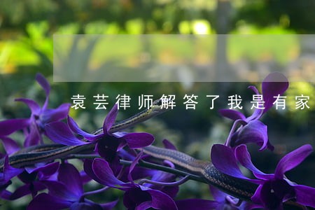 袁芸律师解答了我是有家庭的人 袁芸律师解答了我是有家庭的人