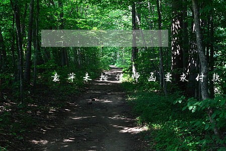 袁萍未按律师函要求付款 袁萍未按律师函要求付款