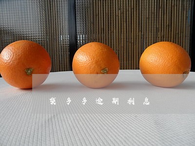 袋多多逾期利息