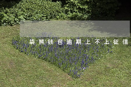 袋熊钱包逾期上不上征信 袋熊钱包逾期上不上征信