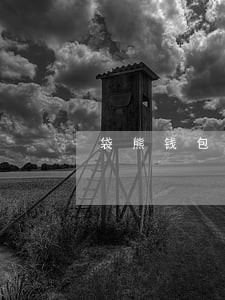 袋熊钱包逾期不还会怎样