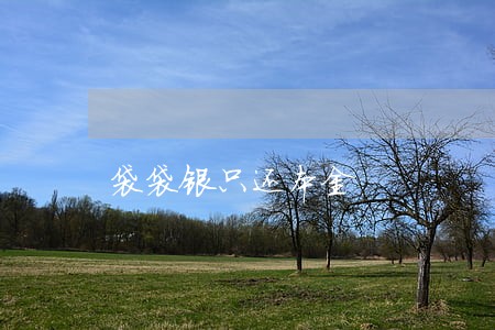 袋袋银只还本金 袋袋银只还本金