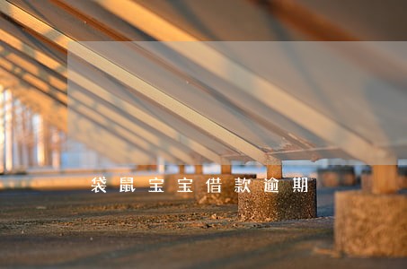 袋鼠宝宝借款逾期 袋鼠宝宝借款逾期