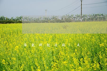 袋鼠钱包逾期l天 袋鼠钱包逾期l天