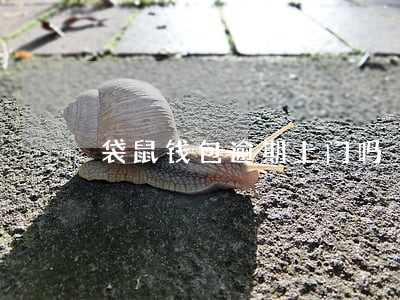 袋鼠钱包逾期上门吗