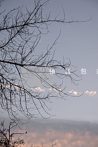 袖钱包逾期 袖钱包逾期