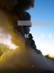 被人侮辱会不会受到法律制裁 被人侮辱会不会受到法律制裁
