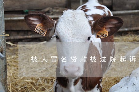 被人冒名贷款被法院起诉