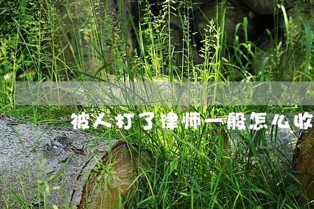 被人打了律师一般怎么收费 被人打了律师一般怎么收费