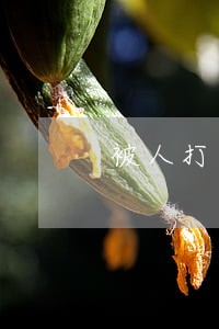 被人打了律师叫你怎么做 被人打了律师叫你怎么做