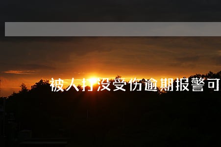 被人打没受伤逾期报警可以不 被人打没受伤逾期报警可以不