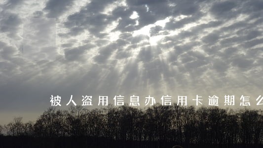 被人盗用信息办信用卡逾期怎么办 被人盗用信息办信用卡逾期怎么办