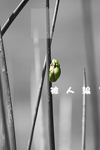 被人骗了网贷要逾期了怎么处理 被人骗了网贷要逾期了怎么处理