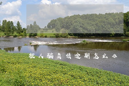 被人骗负债逾期怎么办 被人骗负债逾期怎么办