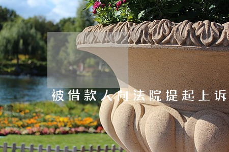 被借款人向法院提起上诉 被借款人向法院提起上诉